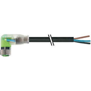 Murrelektronik - Konfektioniertes Sensor-Aktor-Kabel Steckverbinder 7000-08121-6500500 m.frei. Leitungsende − 1 Stück