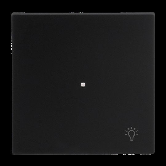 Busch-Jaeger - Bussystem-Tastwippe Wippe 1-fach mit Symbol 6231-10-45M Licht