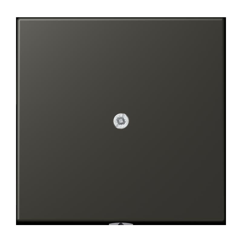 Jung - Einsatz/Abdeckung für Kommunikationstechnik Leitungsauslass m. Zugent. LC 990 A 259 ombre naturelle 59