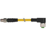 Murrelektronik - Konfektioniertes Sensor-Aktor-Kabel Verbindungsleitung 7000-88261-2300200 M8 St.ger.auf Bu.M12