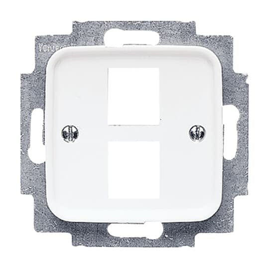 Busch-Jaeger - Einsatz/Abdeckung für Kommunikationstechnik Zentralscheibe aws 2561-02-214 für 2 Modular Jack