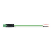 WAGO - Konfektionierte Leitung für steckbare Gebäudeinstallation konfekt. Anschlussleitung 894-8992/133-106 Eca,Buchse
