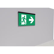 RP-Technik - Sicherheitsleuchte LED-Rettungszeichenleuchte AGR408WL-AZ EB8h, Wirel., anthr