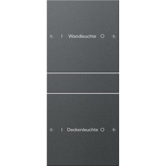 Gira - Bussystem-Tastwippe Wippenset 2-fach 220228 beschr. Sys 55 Anthr