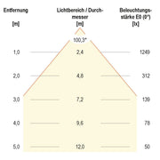 EVN Lichttechnik - Downlight/Strahler/Flutlicht LED-Fluter LFA3001S IP65, 5700K 2300lm