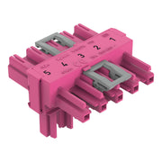 WAGO - Kompaktverteiler für steckbare Gebäudeinstallation T-Verteiler 5-polig 770-1643 Kod. B,pink − 50 Stück