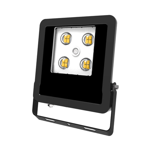 EVN Lichttechnik - Downlight/Strahler/Flutlicht LED-Fluter LFE100902 3000K