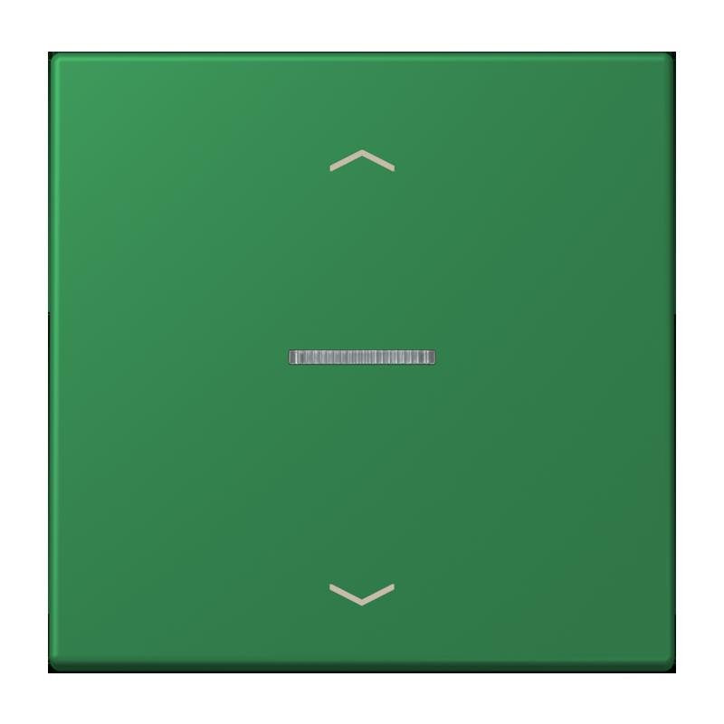Jung - Abdeckung/Bedienelement für Installationsschalterprogramme Wippe mit Lichtleiter LC 101 KO5P 219 vert fonce