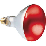 Scharnberger+Hasenbein - Allgebrauchsglühlampe mit Reflektor Reflektorlampe 80x110mm 41624 R80 E27 230V 60W rot