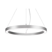 Brumberg Leuchten - Pendelleuchte LED-Pendel-Ringleuchte 13853164 DALI DT6 D1,2m H50mm