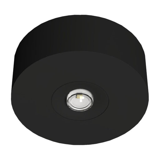 RP-Technik - Sicherheitsleuchte LED-Sicherheitsleuchte EARL423WB-AZ Decke, Linsen, rund