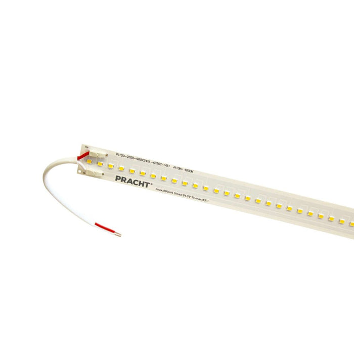 Pracht - Lichttechnisches Zubehör/Ersatzteile für Leuchten Austauschset LED-Modul LED-ModulONE#5552309  − 1 Stück
