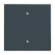 Busch-Jaeger - Abdeckung/Bedienelement für Installationsschalterprogramme Wippe 2570-10-81 Elektroniktaster