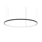 Brumberg Leuchten - Pendelleuchte LED-Pendel-Ringleuchte 84034184MT 4000K, Matter