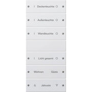 Gira - Bussystem-Tastwippe Wippenset 6-fach 220603 beschr. Sys 55 rws