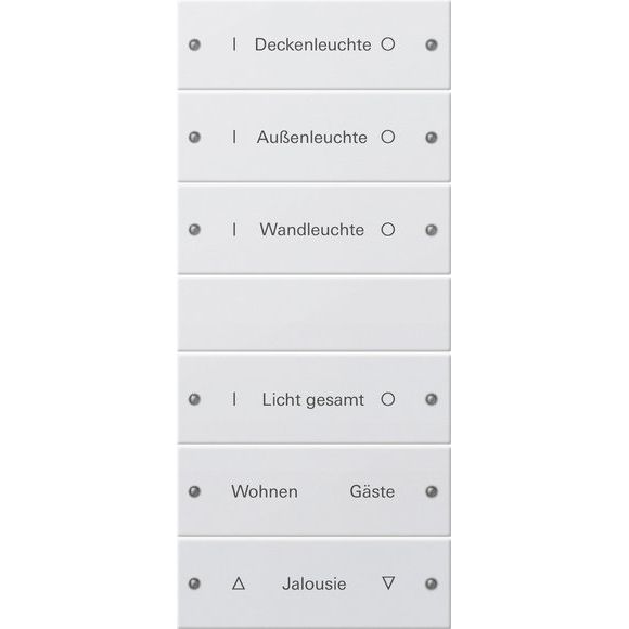 Gira - Bussystem-Tastwippe Wippenset 6-fach 220603 beschr. Sys 55 rws