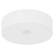 Fischer - Sicherheitsleuchte LED-Sicherheitsleuchte AXD819SC.V2 EB 8h