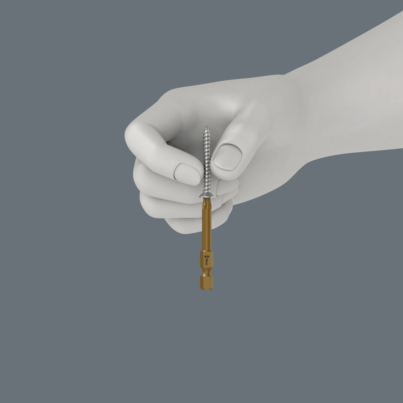 Wera Werk - Werkzeugset Montageset 7443/61/9 9-teilig  − 1 Stück