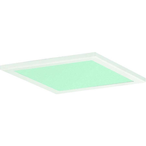 Ridi-Leuchten - Lichttechnisches Zubehör/Ersatzteile für Leuchten Dekorglasscheibe DQ195-SM-G-D-W