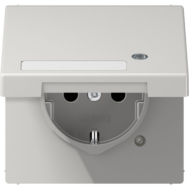 Jung - Steckdose SCHUKO-Steckdose 16A 250V LS 1520 NAKLKO LG m.Berührungsschutz