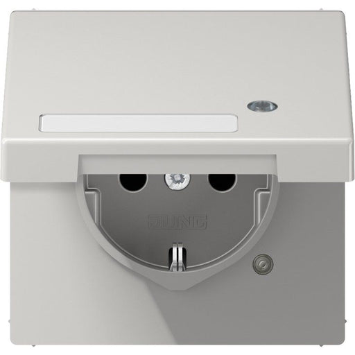 Jung - Steckdose SCHUKO-Steckdose 16A 250V LS 1520 NAKLKO LG m.Berührungsschutz