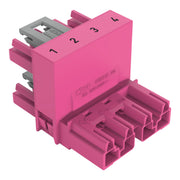 WAGO - Kompaktverteiler für steckbare Gebäudeinstallation h-Verteiler 4-polig 770-1683 Kod. B,pink − 50 Stück