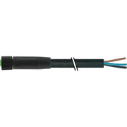 Murrelektronik - Konfektioniertes Sensor-Aktor-Kabel Verbindungsleitung 7005-08041-6301000 − 1 Stück
