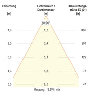 EVN Lichttechnik - Decken-/Wandleuchte LED-Deckenleuchte DSR54190125 ML, MC
