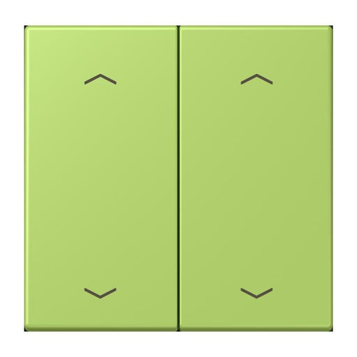 Jung - Abdeckung/Bedienelement für Installationsschalterprogramme Wippe mit Pfeilsymbolen LC 102 P 221 vert clair