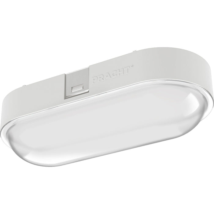 Pracht - Decken-/Wandleuchte LED-Ovalleuchte NINA ECO #5200010 840  − 1 Stück
