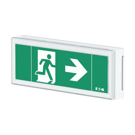 Ceag Notlichtsysteme - Sicherheitsleuchte LED-Rettungszeichenleuchte FT1EW4ICGSIP ZB, Piktos, Wand