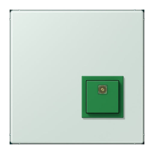 Jung - Behindertenelement für Installationsschalterprogramme Notrufsystem Abstelltaster NRS LC 0834 AT 215 ceruleen pale