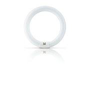 Philips Lighting - UV-Lampe ActinicBLTL-E 22W/10 − 20 Stück