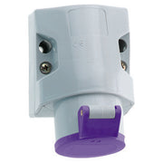 Bals Elektrotech - CEE-Steckdose (IEC 60309) Kleinspann.-Wandsteckdose 410 16A 2p 24V