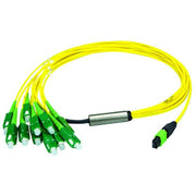 Telegärtner - Patchkabel LWL MPO/MTP Aufteilkabel gb 1m 100010925 MPO APC OS2 12SC SM
