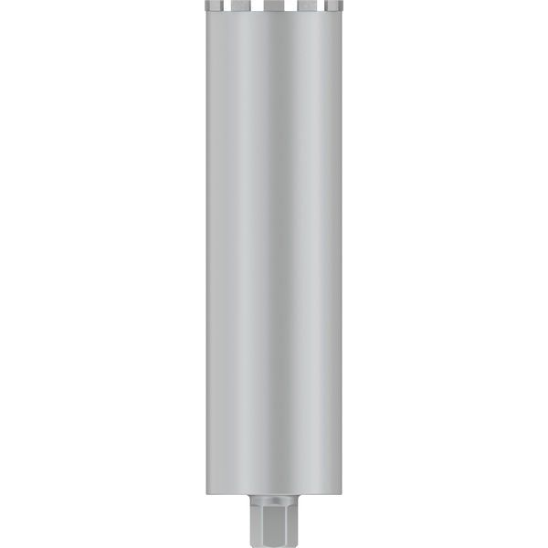 Bosch - Bohrkrone PRO Nassbohrkrone, 132 x 2608601742 450 mm G 1 1/4 Zoll