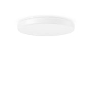 RZB - Decken-/Wandleuchte LED-Wand-/Deckenleuchte 312087.002.4.76 4000K DALI weiß