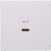 Berker - Einsatz/Abdeckung für Kommunikationstechnik Zentralplatte 48601909 USB S.1, pw matt