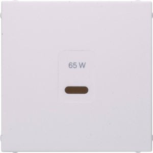 Berker - Einsatz/Abdeckung für Kommunikationstechnik Zentralplatte 48601909 USB S.1, pw matt