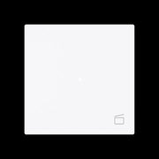 Busch-Jaeger - Bussystem-Tastwippe Wippe 1-fach mit Symbol 6233-10-44G Szene