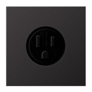 Jung - Steckdose Steckd NEMA15 AL 2521-15 D A125 V LS dark