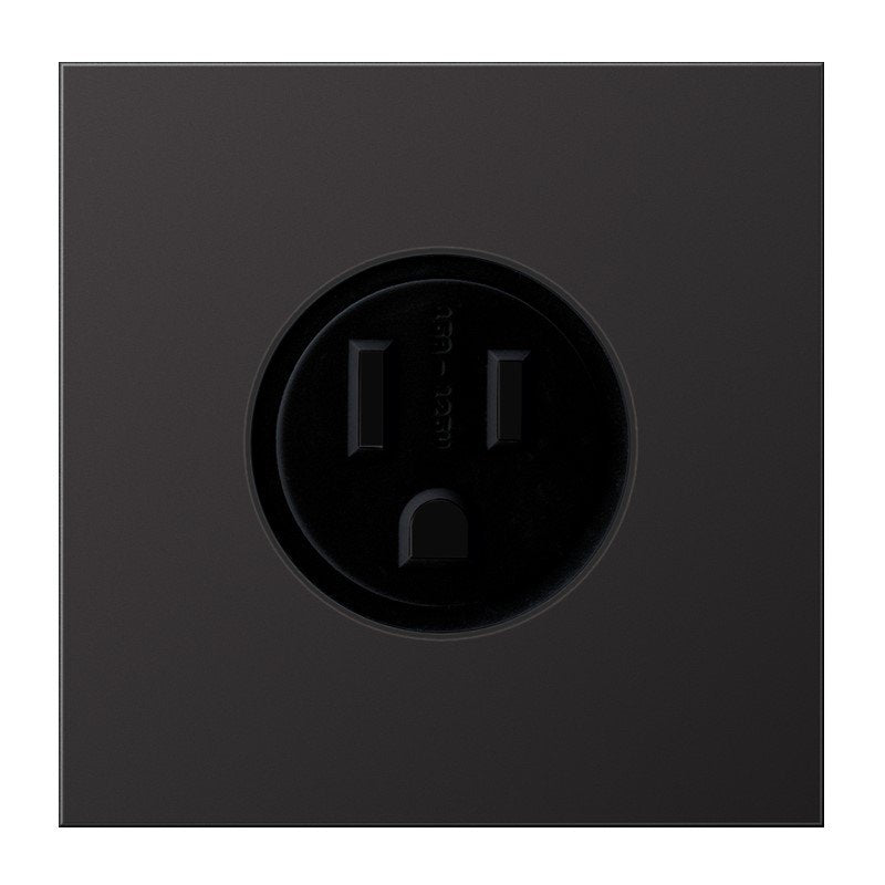 Jung - Steckdose Steckd NEMA15 AL 2521-15 D A125 V LS dark