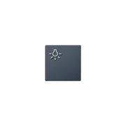 Siedle&Söhne - Zubehör/Ersatzteile für Türkommunikation Lichttaste mit Lichtsymbol TLM61161201BTLM650AG Anthrazitgrau