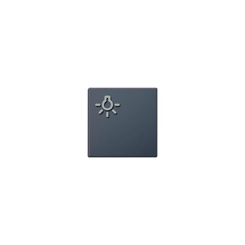 Siedle&Söhne - Zubehör/Ersatzteile für Türkommunikation Lichttaste mit Lichtsymbol TLM61161201BTLM650AG Anthrazitgrau