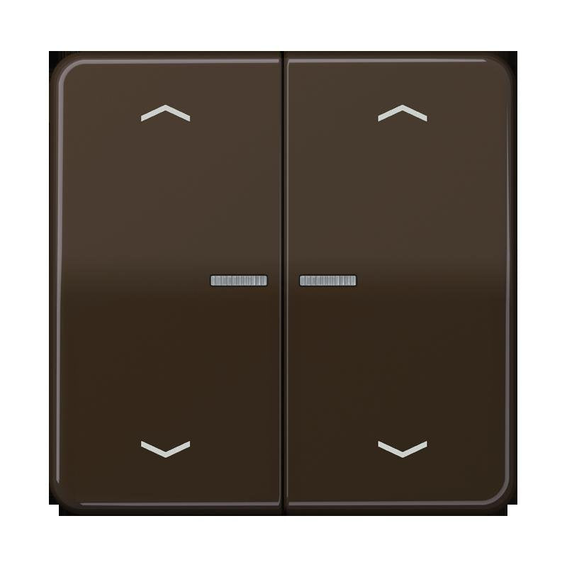 Jung - Bedienelement intelligent Taster 2fach BT CD 17102 P BR JUNG HOME