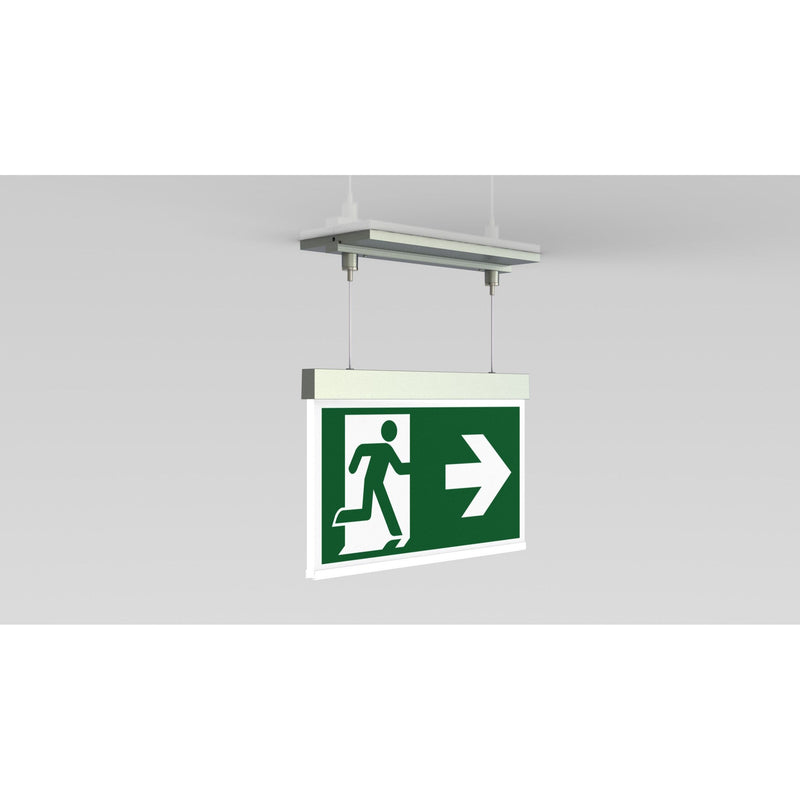 RP-Technik - Sicherheitsleuchte LED-Rettungszeichenleuchte AMCC403SC-E EB 3h, SC, eds-opt