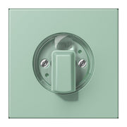 Jung - Abdeckung/Bedienelement für Installationsschalterprogramme Abdeckung für Drehschalter LC 1941 217 vert anglais clair