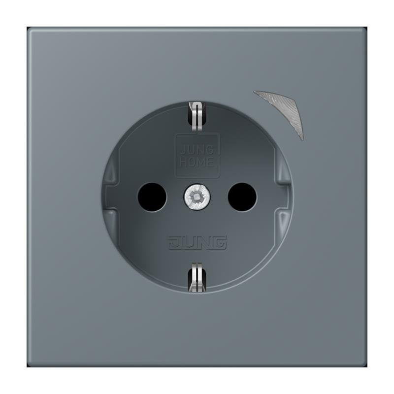 Jung - Steckdose SCHUKO Steckdose BT LC 1521 S 251 gris 59 (4320H)