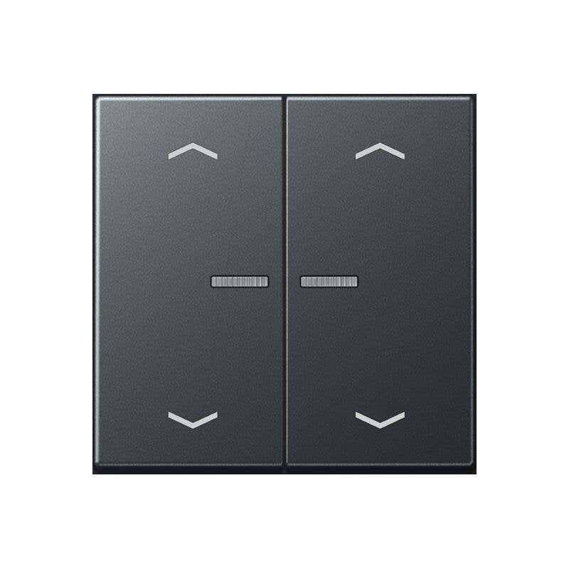 Jung - Bedienelement intelligent Taster 2fach BT A 17102 BF P ANM JUNG HOME