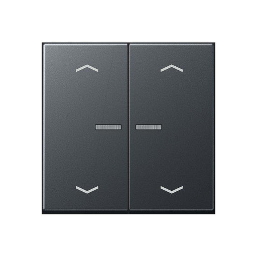 Jung - Bedienelement intelligent Taster 2fach BT A 17102 BF P ANM JUNG HOME